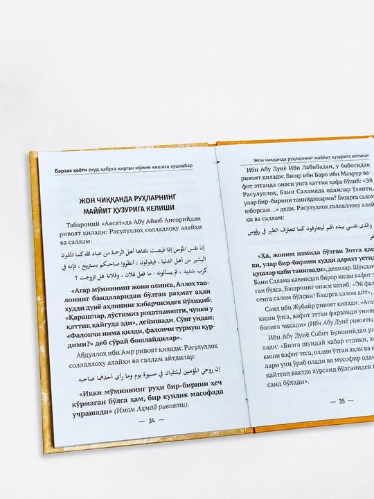 Barzax hayoti — Abdurahmon Jaloliddin Suyutiy
