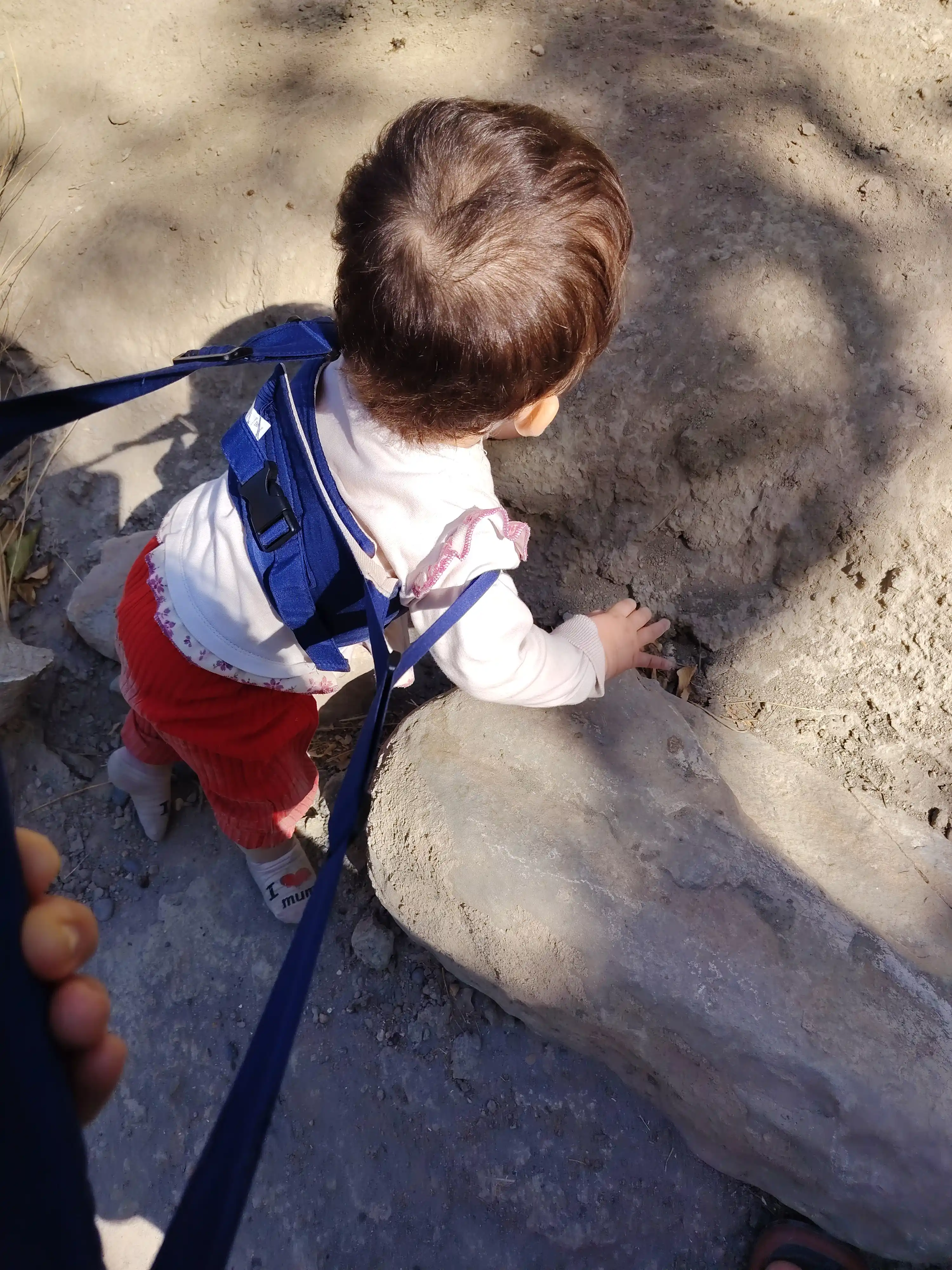 Помощник для ходьбы для детей | Walking Assistant