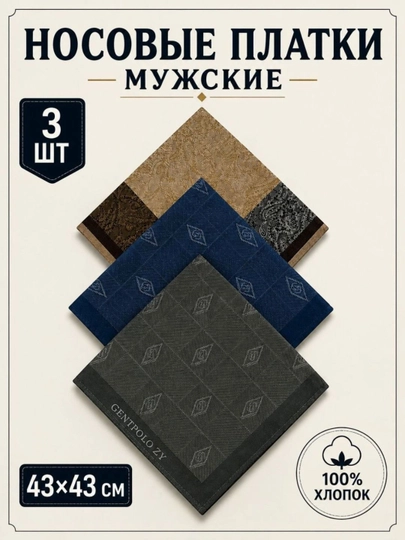 Современные мужские носовые платки, 100% хлопок, набор 2, 3, 4 шт