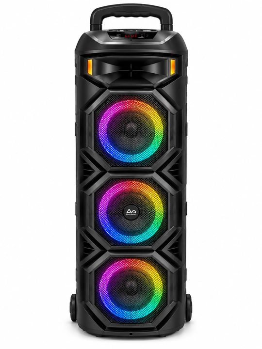Portativ Bluetooth Kolonka, USB/TF, FM Radio, Mikrofon va Pult bilan