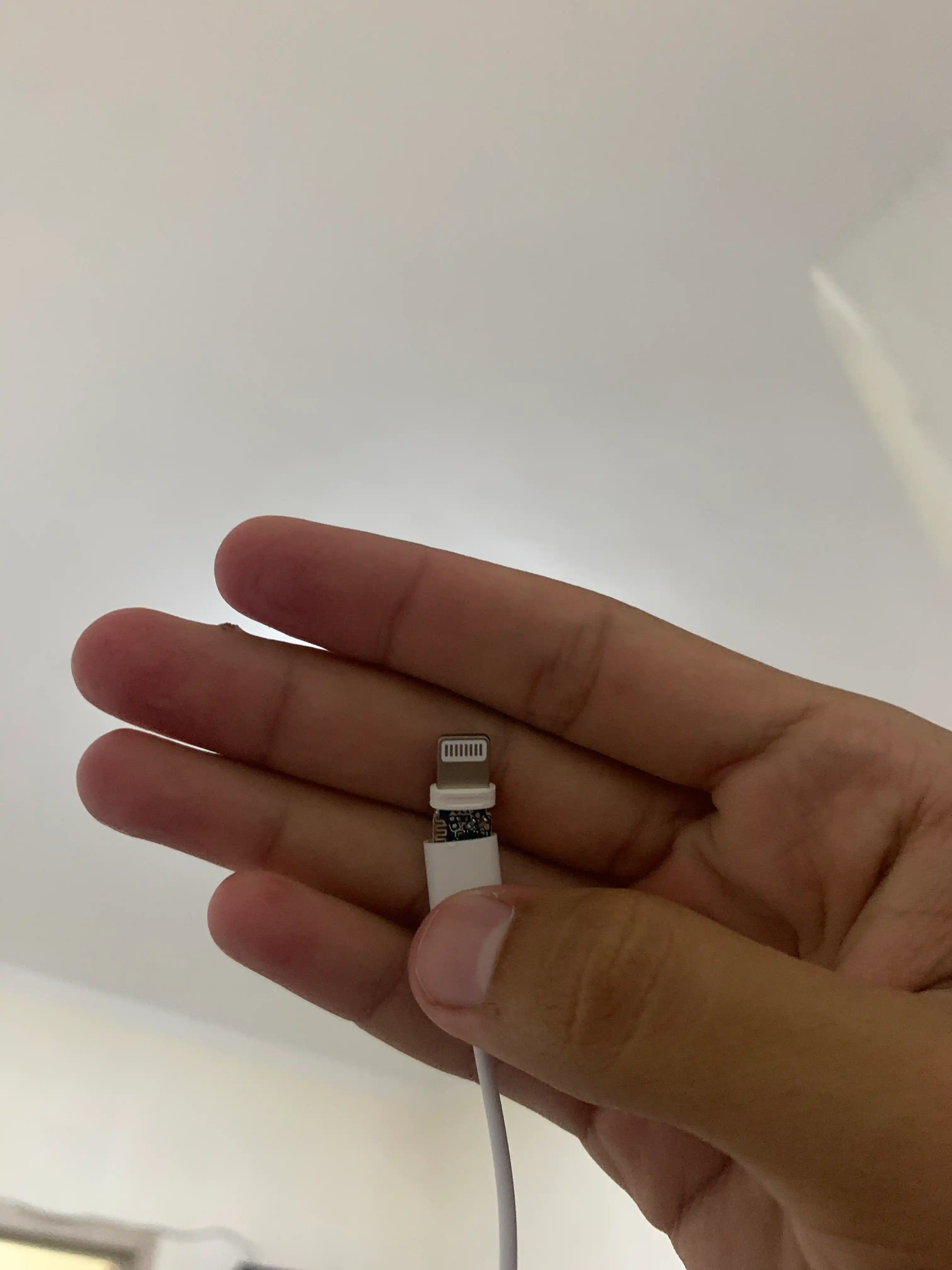 Samsung va Iphone telefonlari uchun Type-C va Lighting simli quloqchinlari