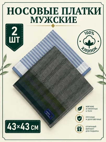 Современные мужские носовые платки, 100% хлопок, набор 2, 3, 4 шт