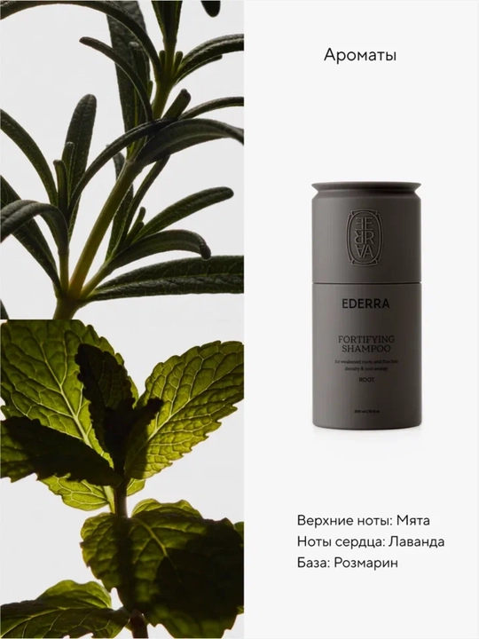 Уплотняющий шампунь для тонких волос, ослабленных у корней EDERRA ROOT