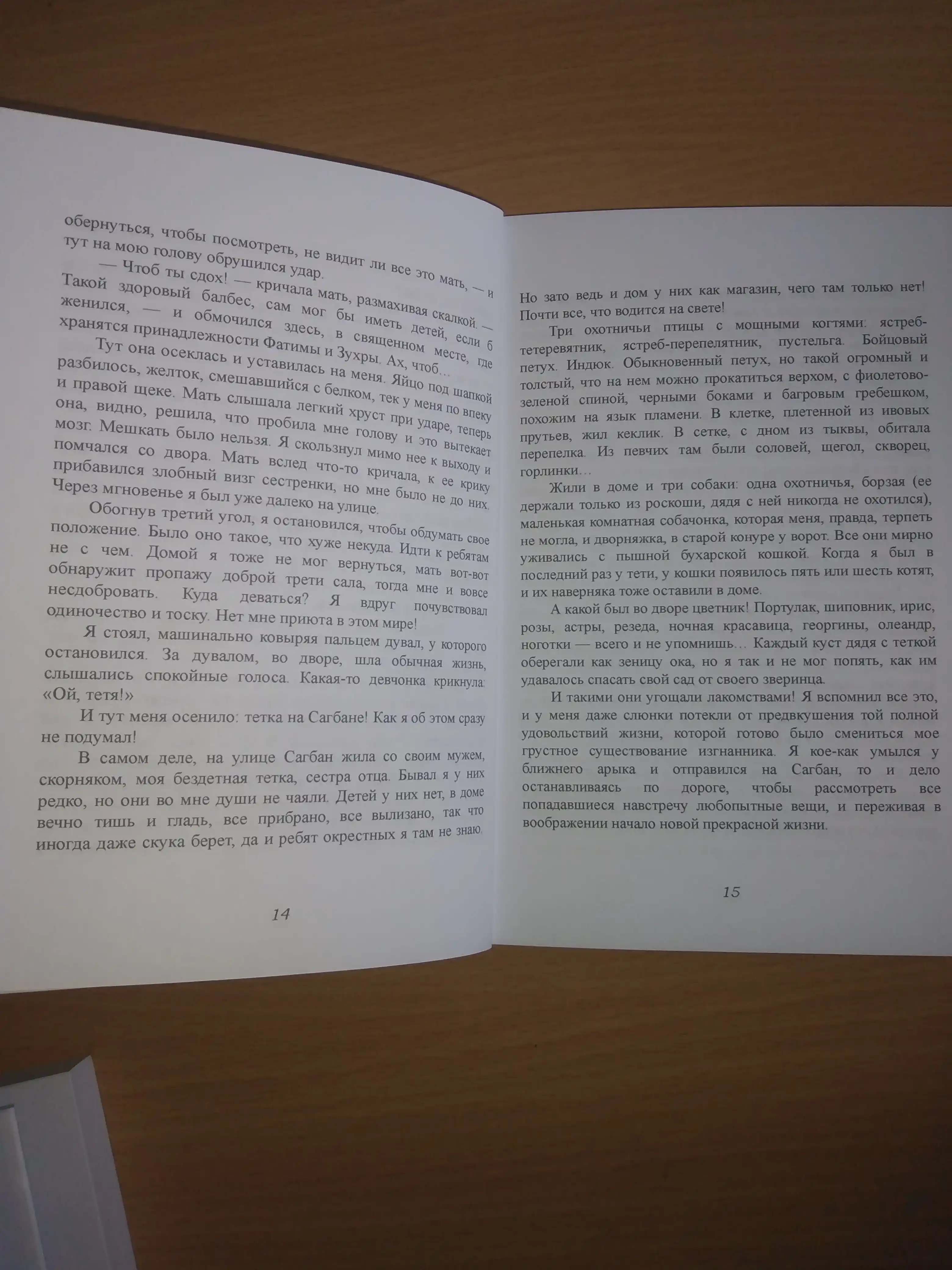 Книга Озорник. Гафур Гулям