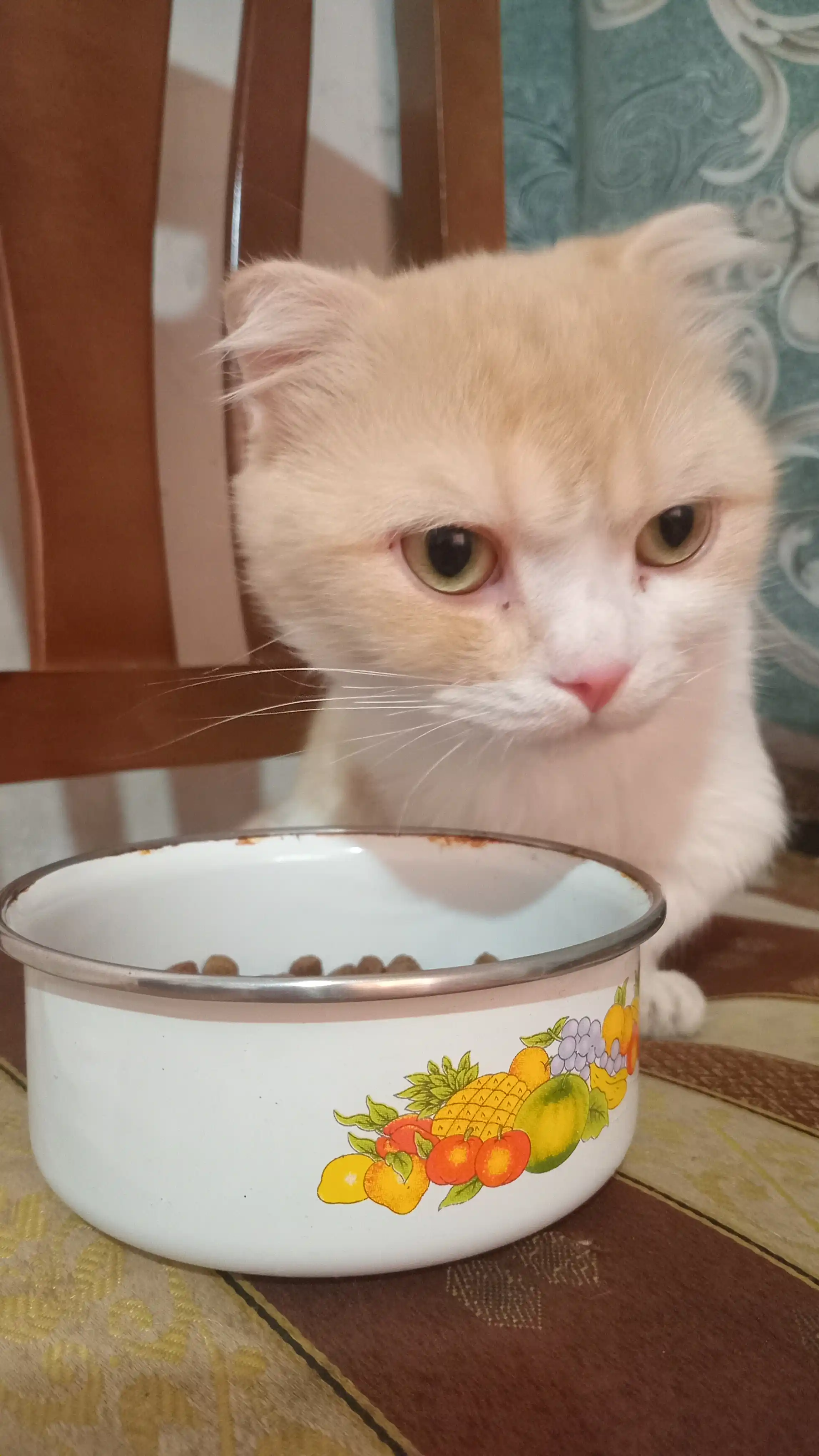 Paw Picks сухой корм для кошек с говядиной и овощами, 1 кг