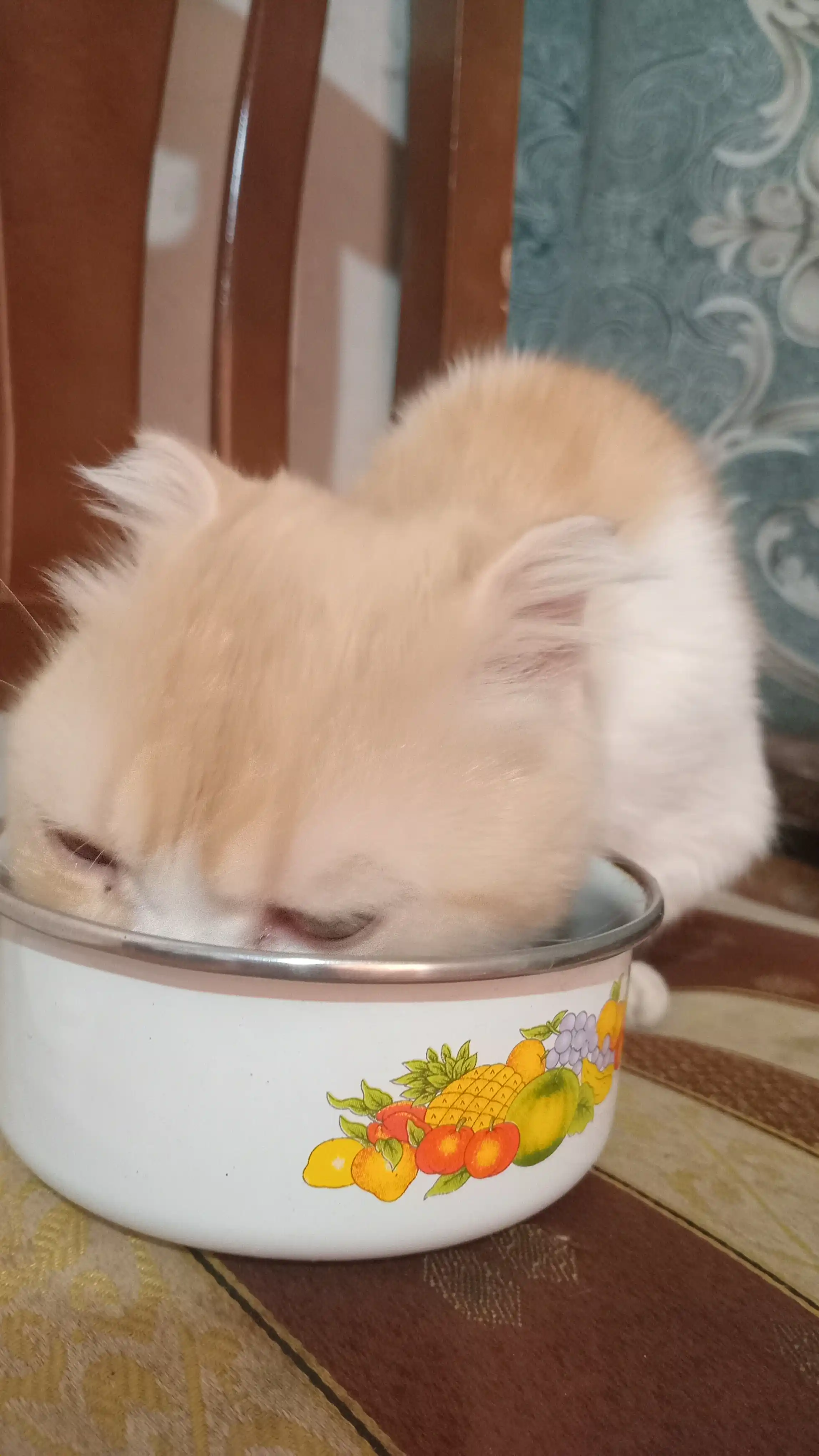 Paw Picks сухой корм для кошек с говядиной и овощами, 1 кг