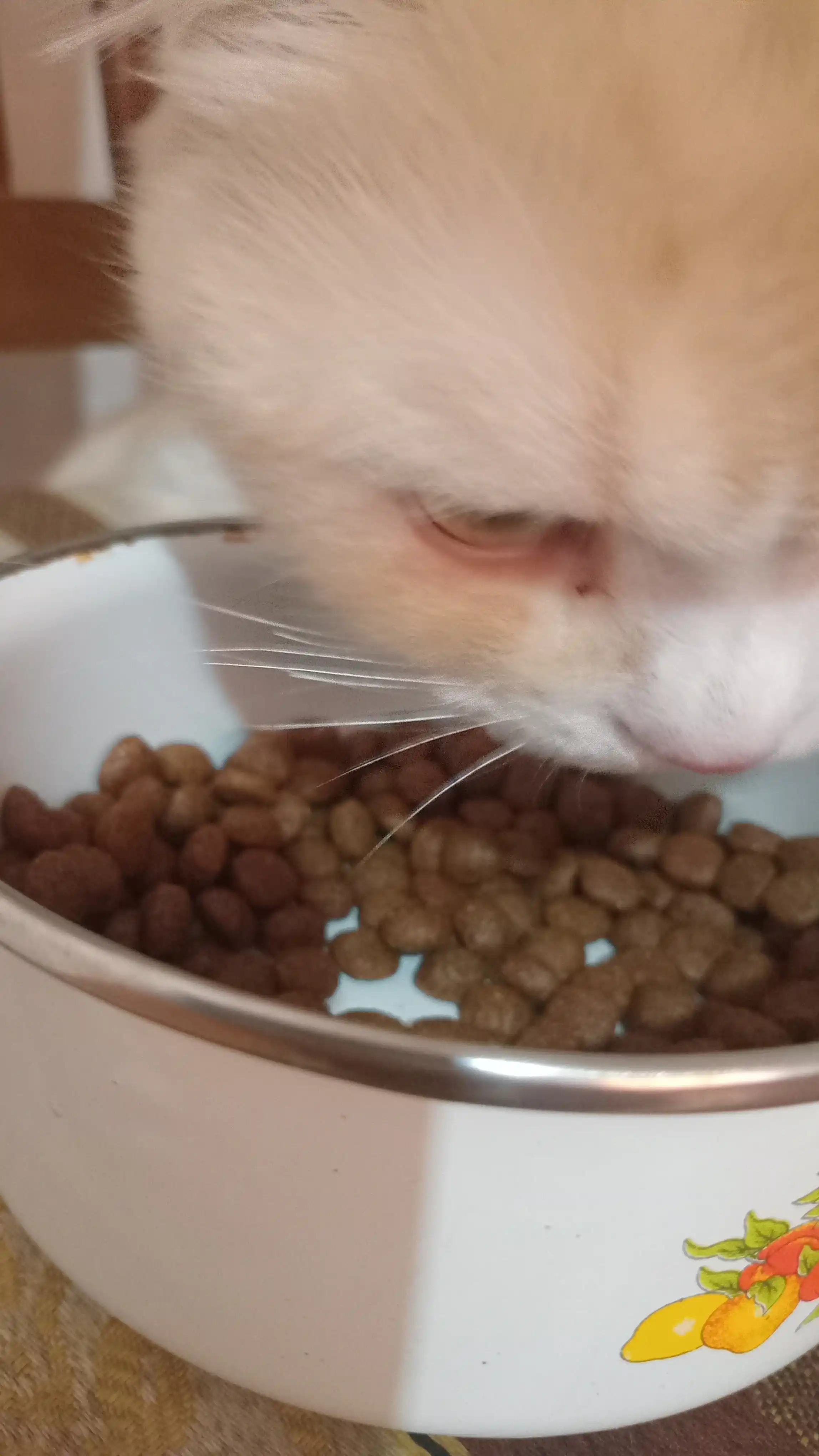 Paw Picks сухой корм для кошек с говядиной и овощами, 1 кг