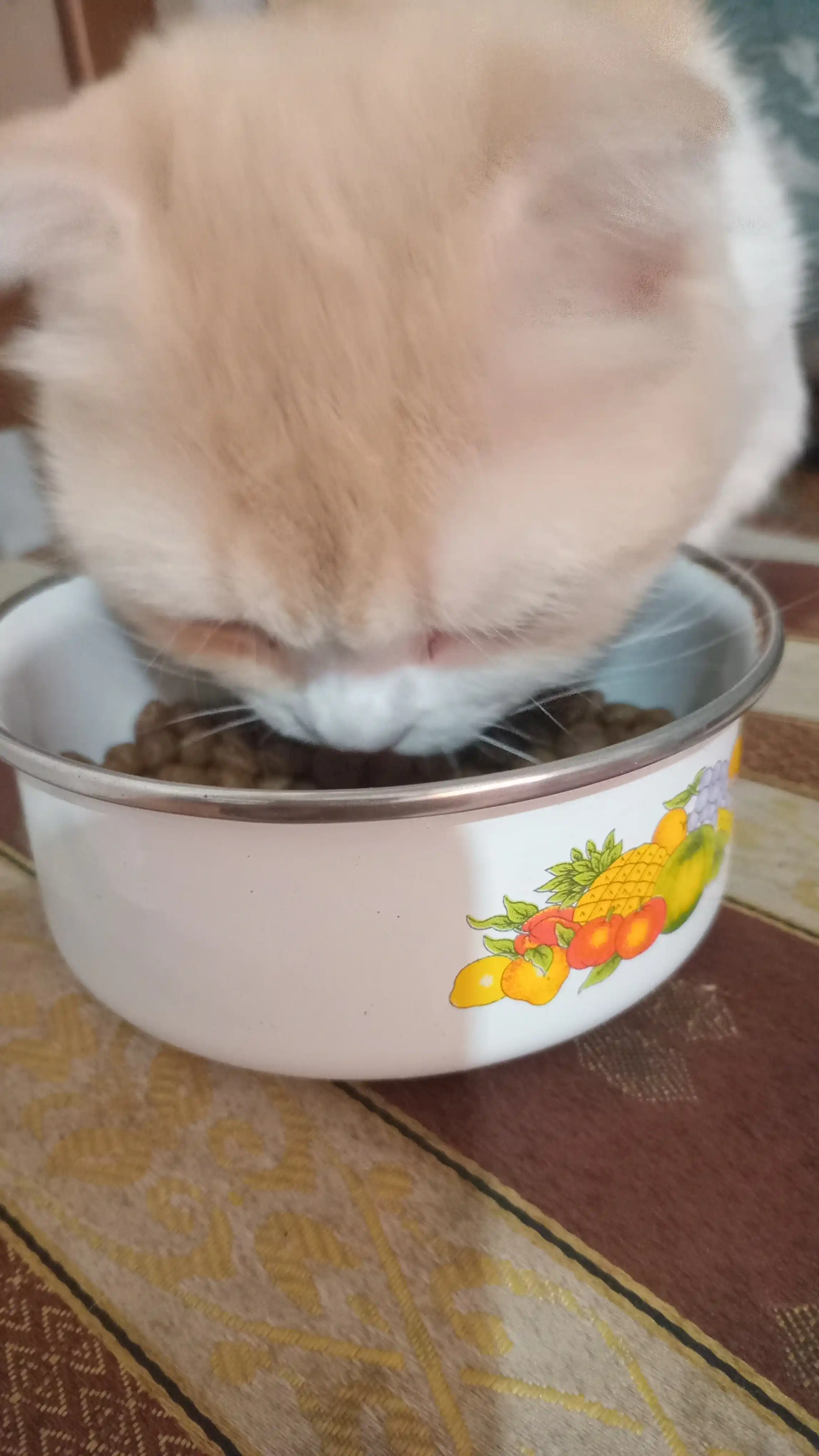 Paw Picks сухой корм для кошек с говядиной и овощами, 1 кг