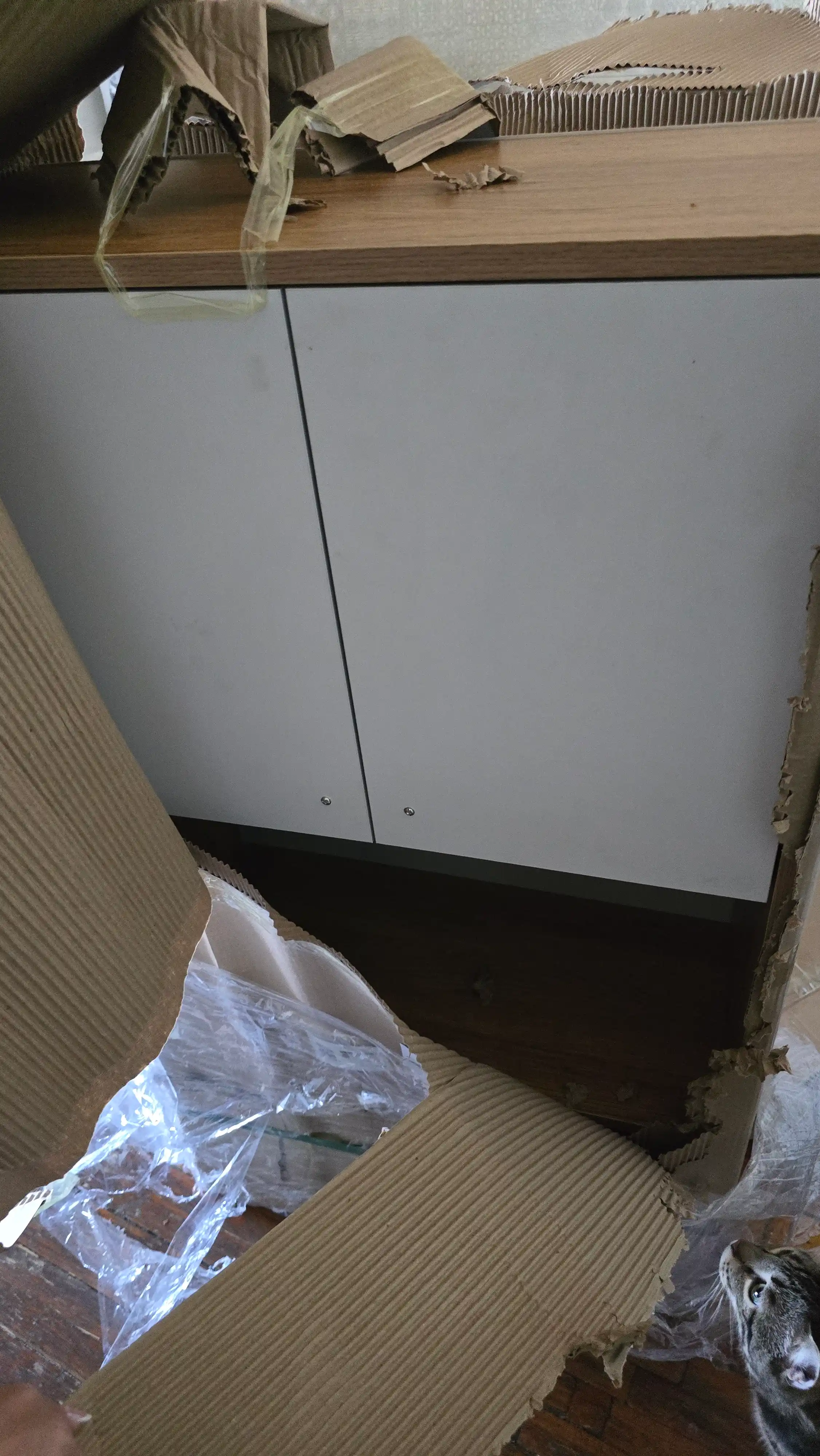 RAGAN stellaji, kitoblar va dekor uchun ochiq javon, 150x50x25 sm