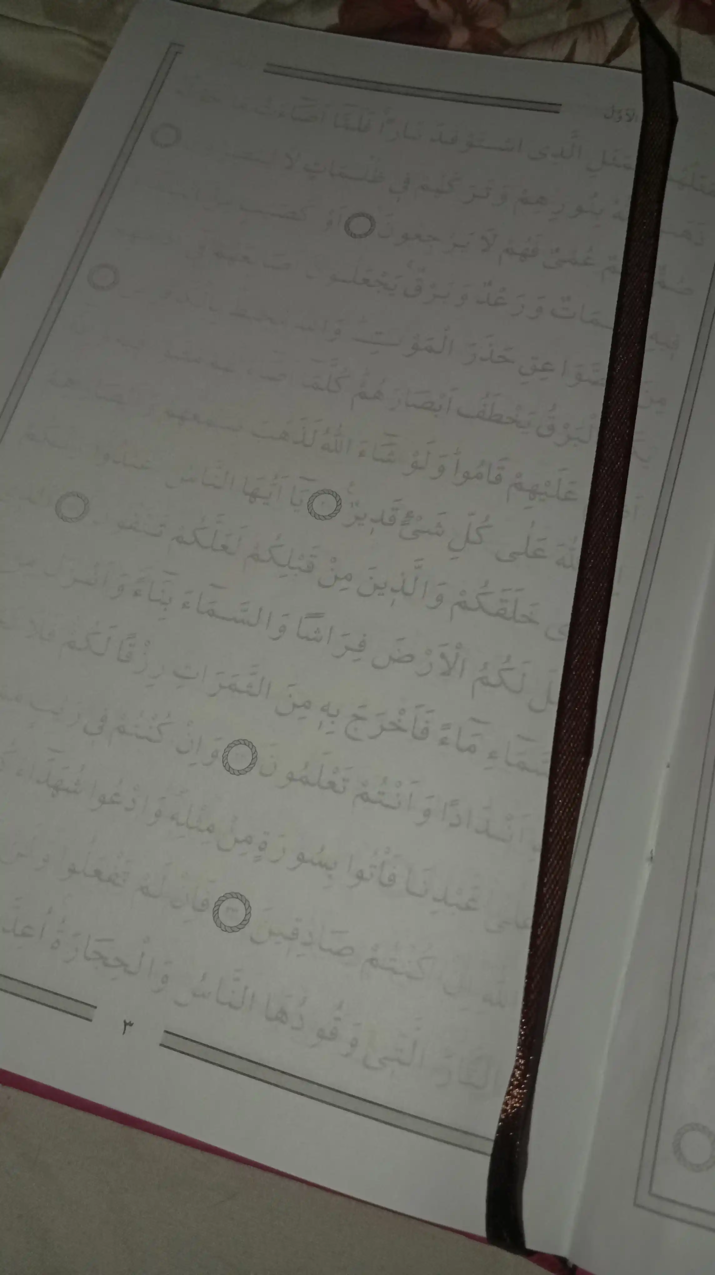 Soyali Qur'on — Коран в твёрдом переплёте, 600 страниц