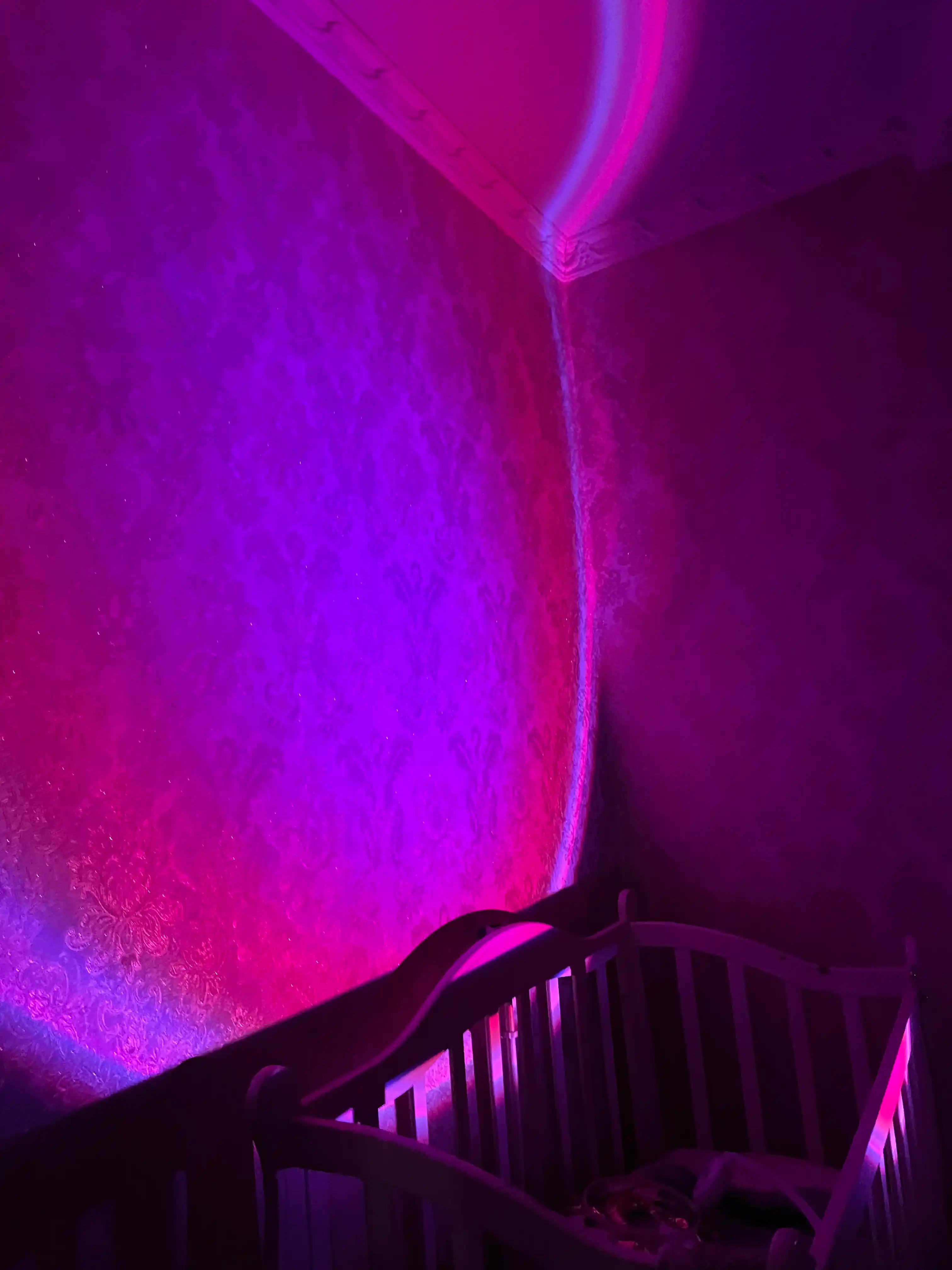 RGB quyosh botishi lampasi LED pultli 16 rang 4 rejim stol chiroqi foto uchun