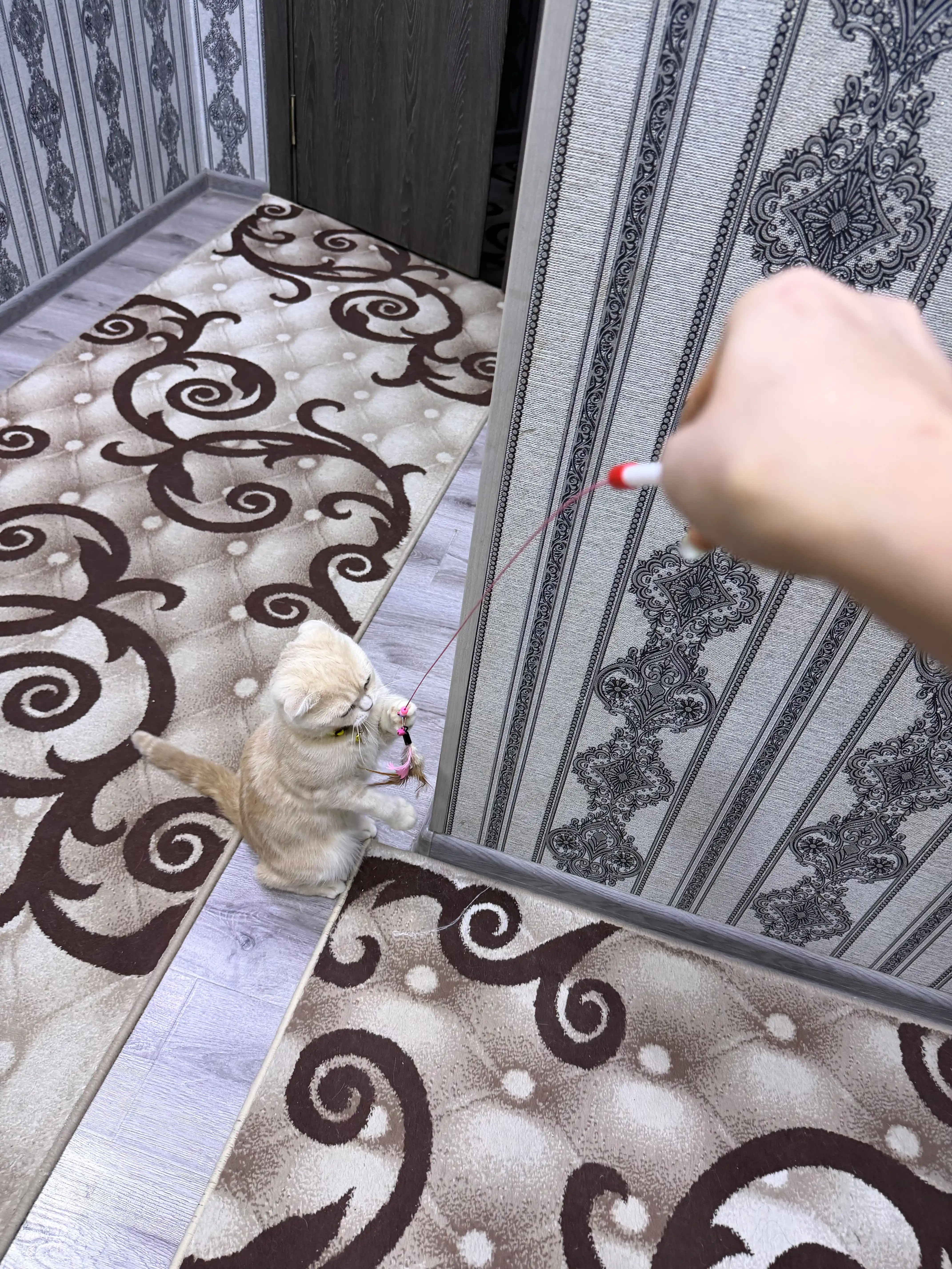 Интерактивная игрушка для кошек