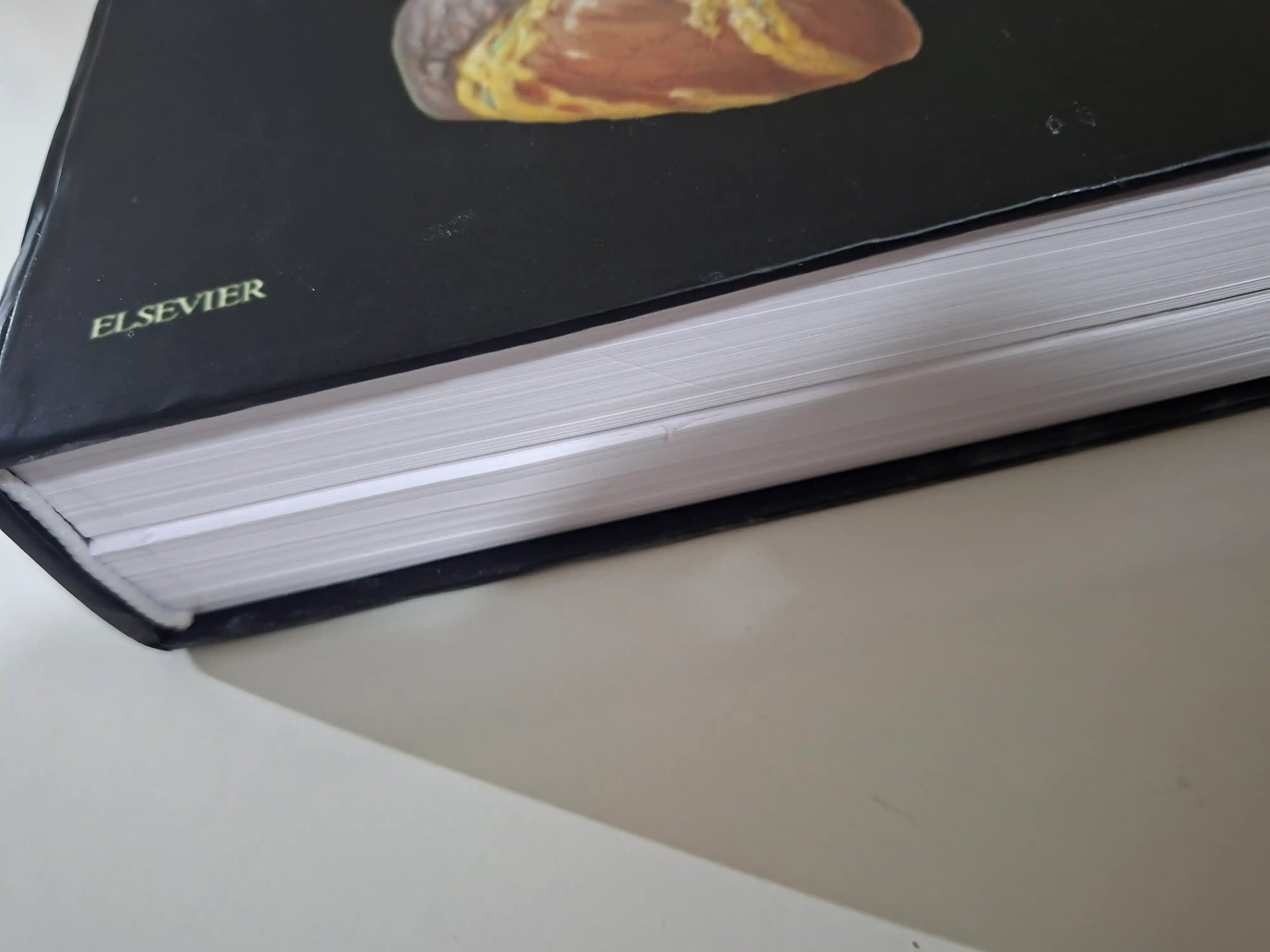 Tibbiyot kitobi, odam anatomiyasi atlasi, ATLAS OF HUMAN ANATOMY, Frank Netter