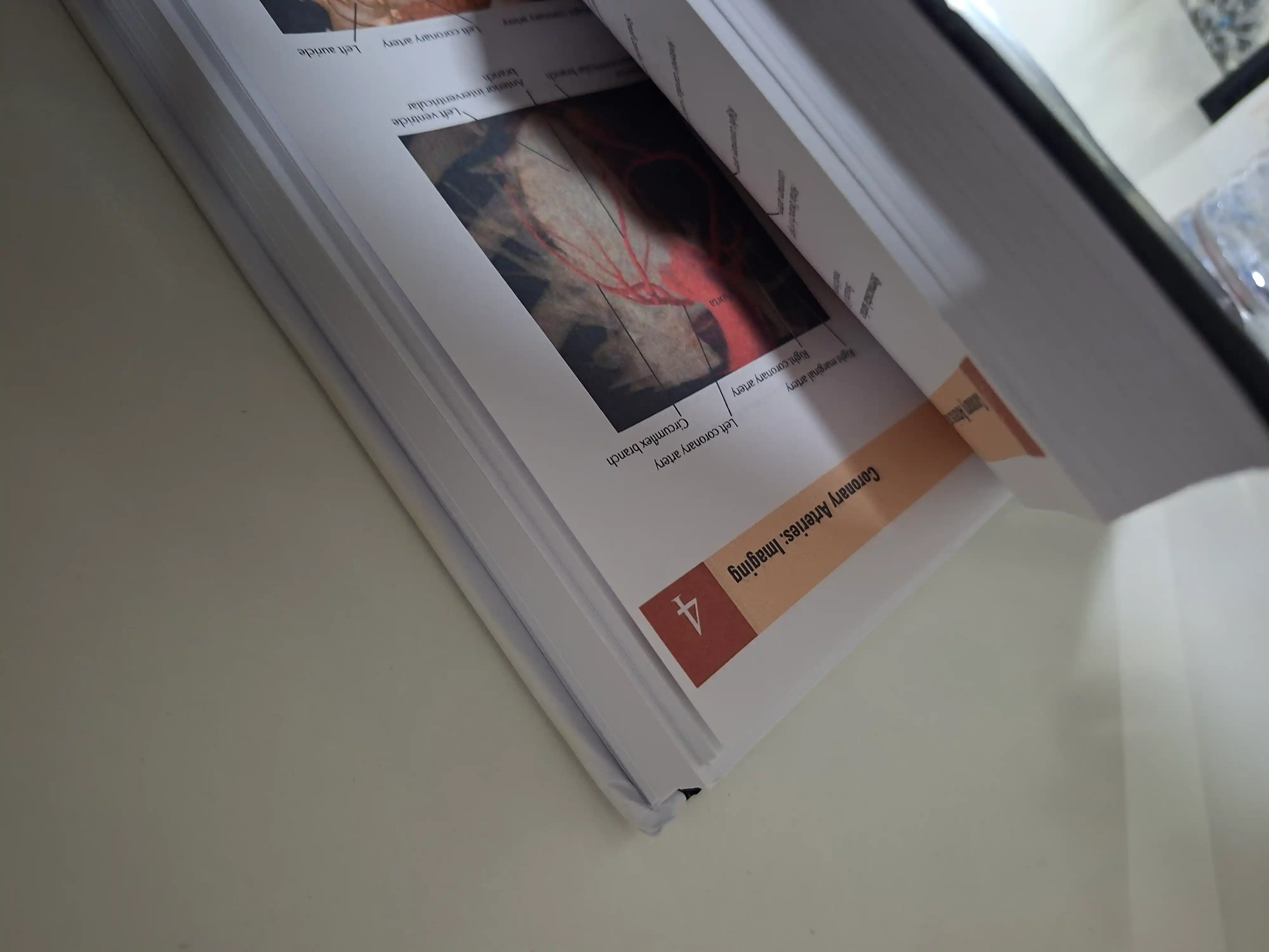 Tibbiyot kitobi, odam anatomiyasi atlasi, ATLAS OF HUMAN ANATOMY, Frank Netter
