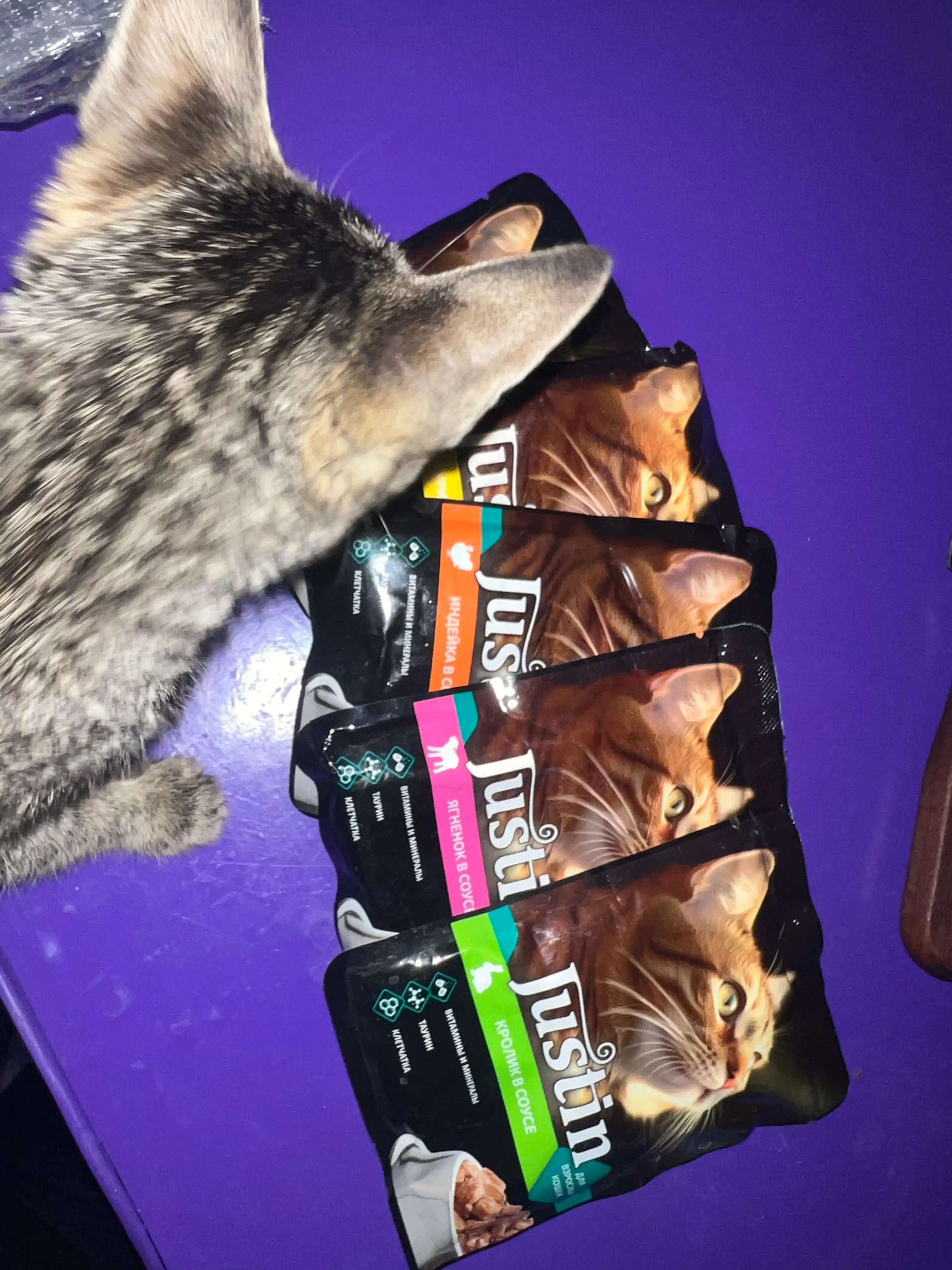 Justin mushuklar uchun nam yem assorti 5 ta ta’m 75 gr 5 dona