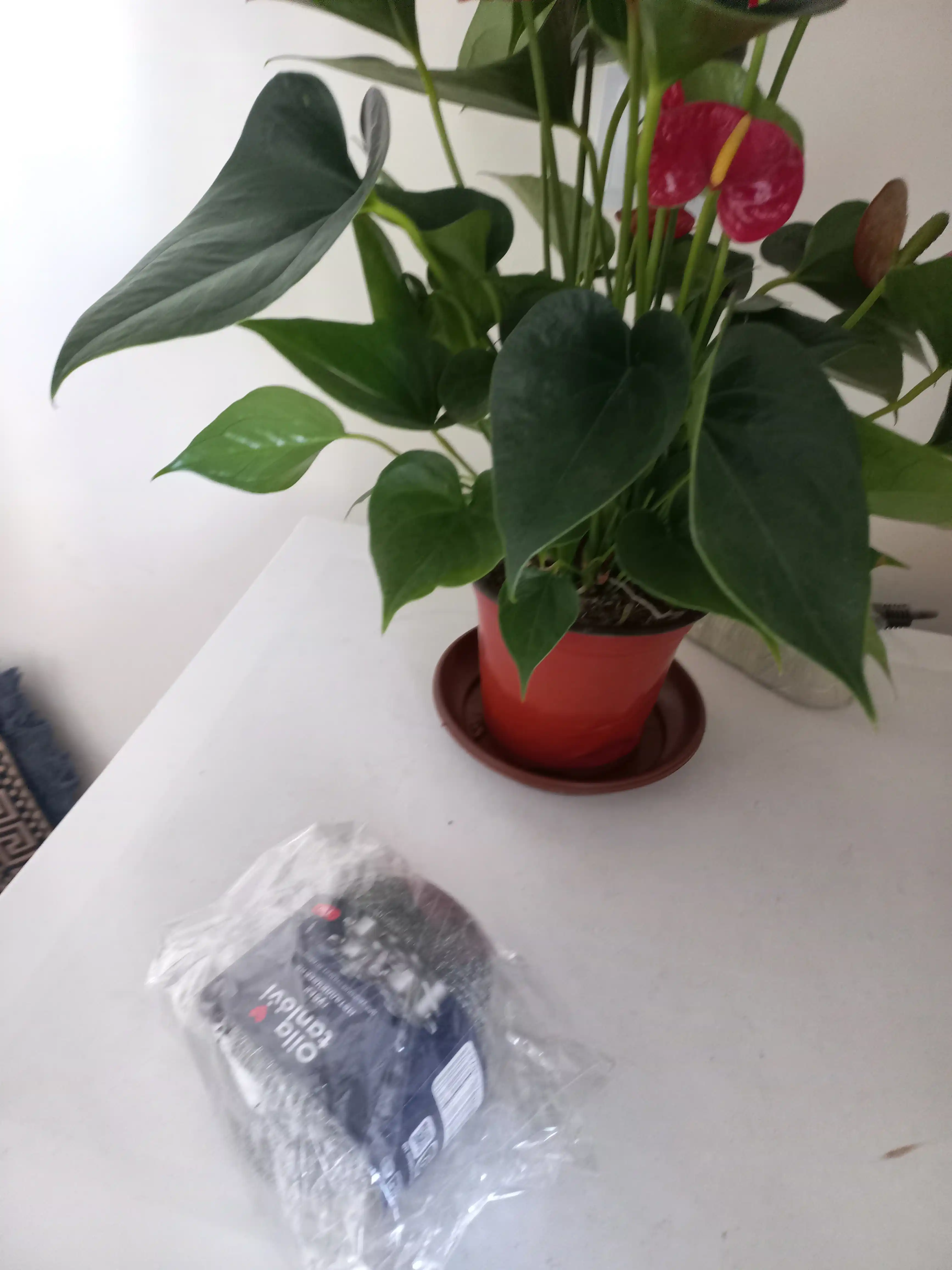 Metall shimgichlar Oila tanlovi, 3 ta dona