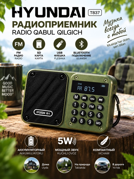 Портативный радиоприемник Hyundai радио FM/AM BLuetooth/USB/Micro SD 5W аккумуляторный
