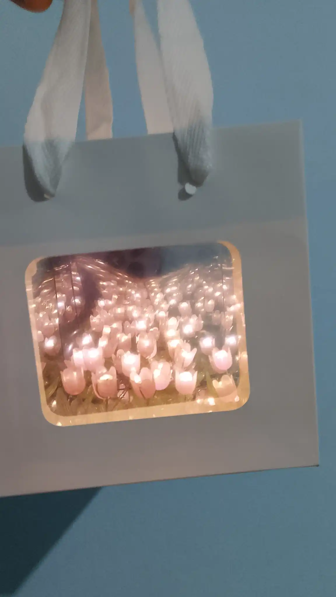 Cheksiz lolalar bilan 3D tungi chiroq