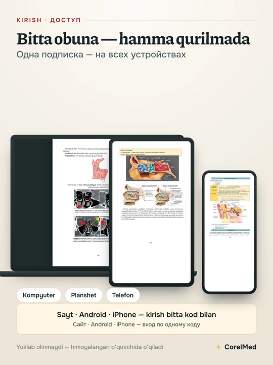 Анатомии и компьютерной томографии головы и шеи —  в электронном виде