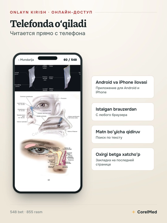 Анатомии и компьютерной томографии головы и шеи —  в электронном виде