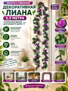 Lavanda