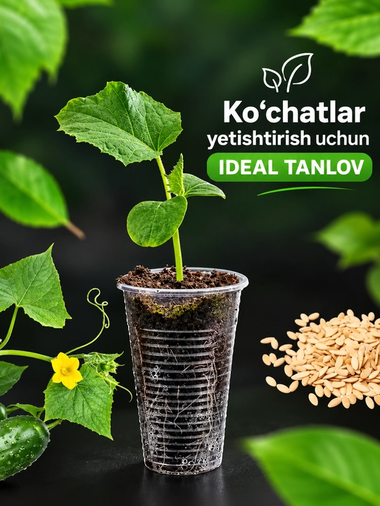 Bir martalik plastik stakanlar 200 ml, ichimliklar uchun shaffof va qulay
