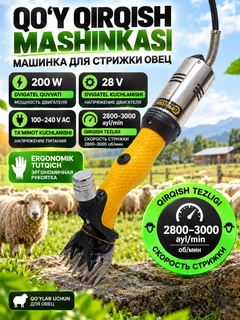 Золотой