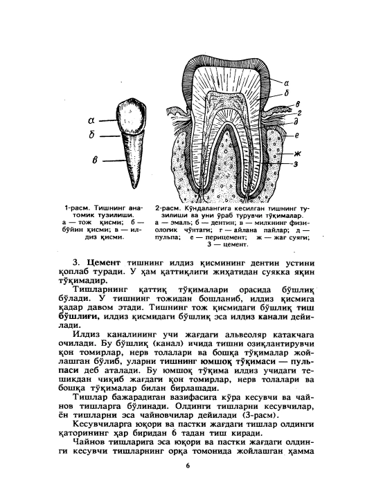 Ortopedik stomatologiya — M. Miryoqubov