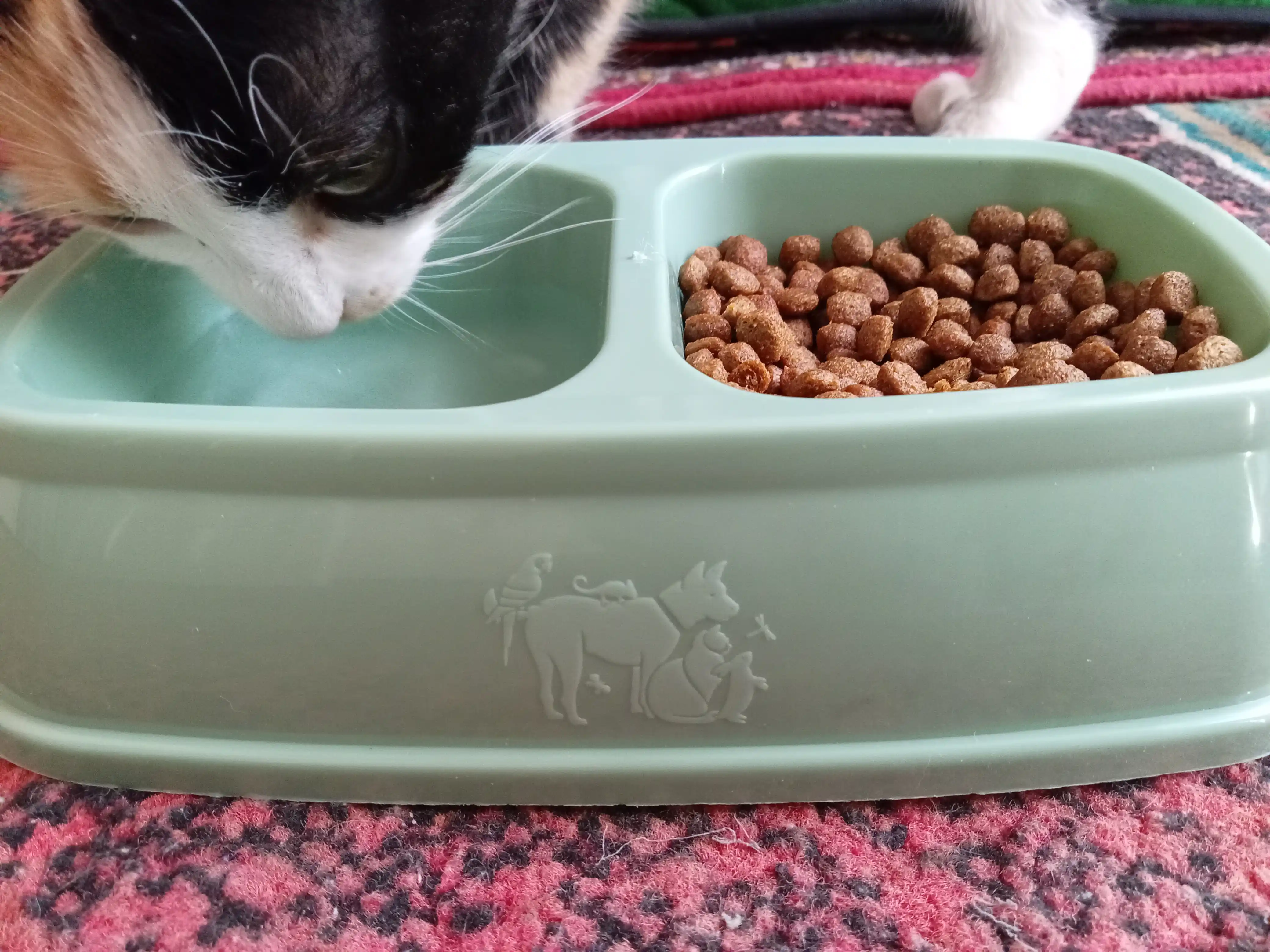Paw Picks сухой корм для кошек с говядиной и овощами, 1 кг