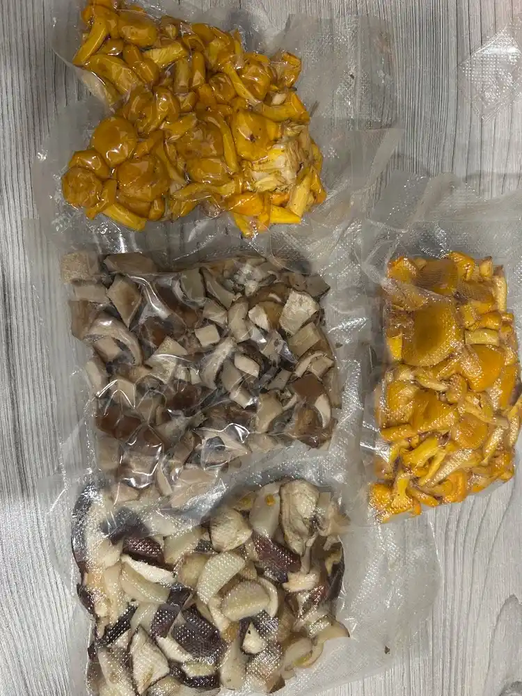 Vakum apparat vakuumator, oziq-ovqat uchun qadoqlash uskunasi, 60 kPa, 10 paket