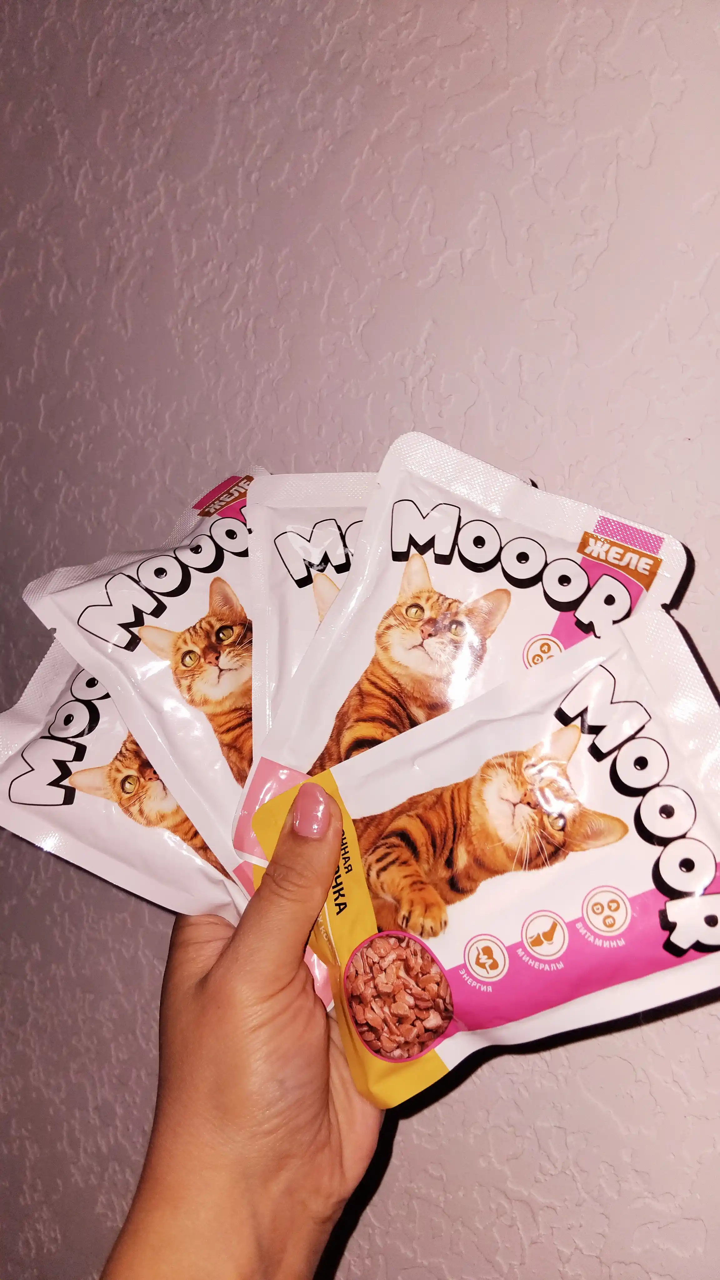 Moor mushuklar uchun nam yem assorti jeledagi mol va tovuq go‘shtli 75 gr 5 dona