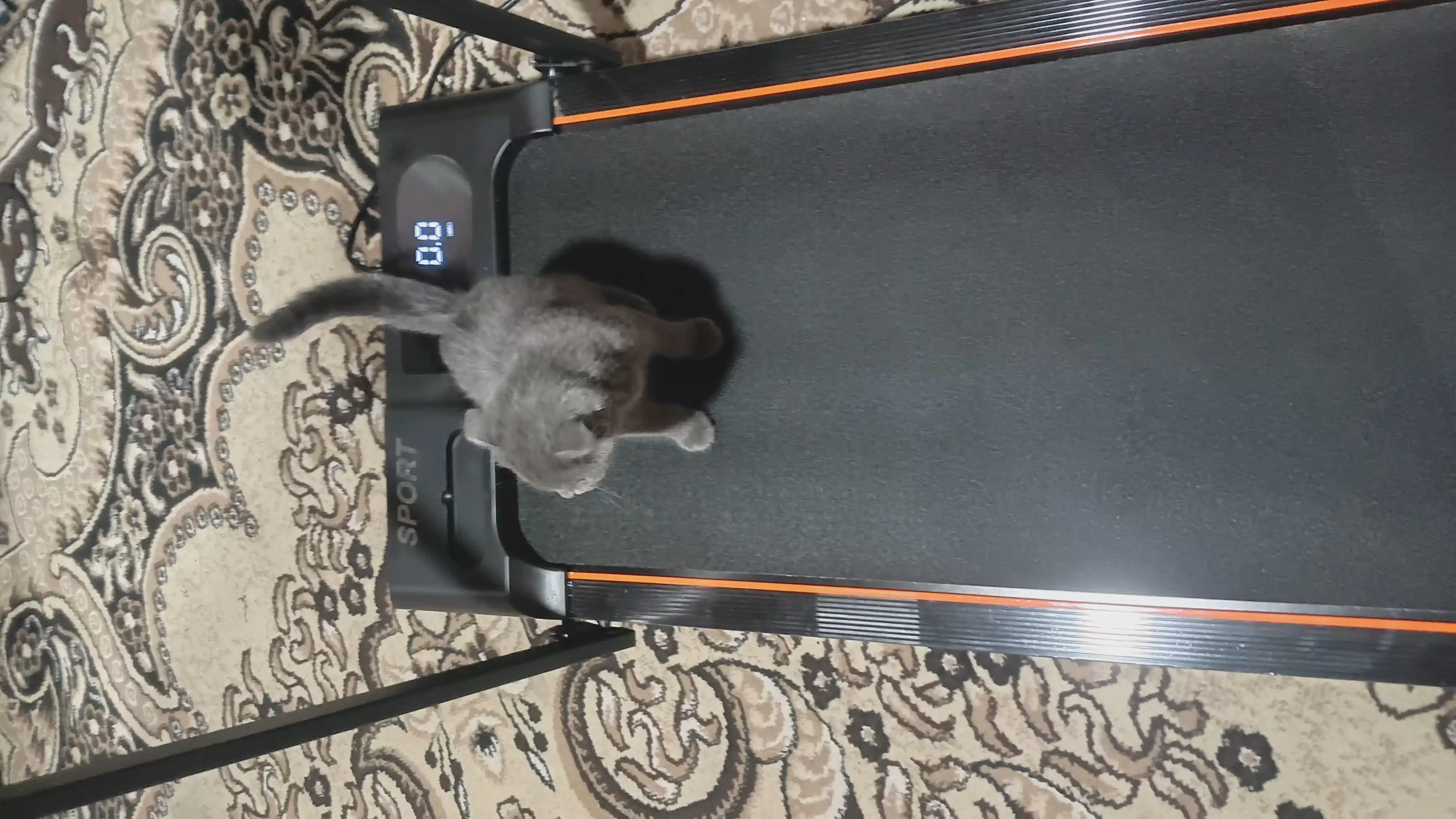 Uy uchun elektr yugurish yo‘lagi, Bluetooth, pult va tutqich, 120 kg gacha