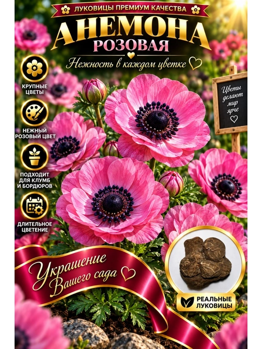 Uy va bog‘ uchun gul piyozchalari - 