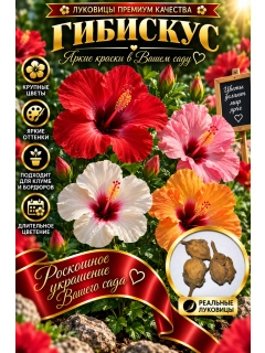Бирюзовый