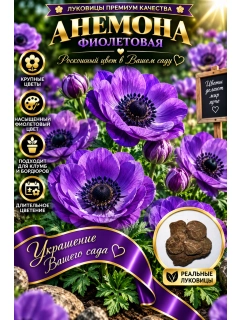 Лавандовый