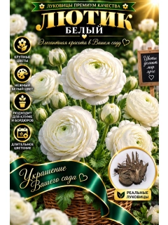 Лазурный