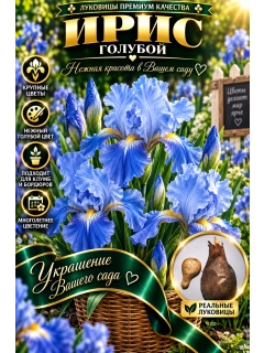 Горчичный