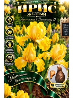 Золотой