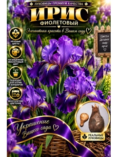 Алый