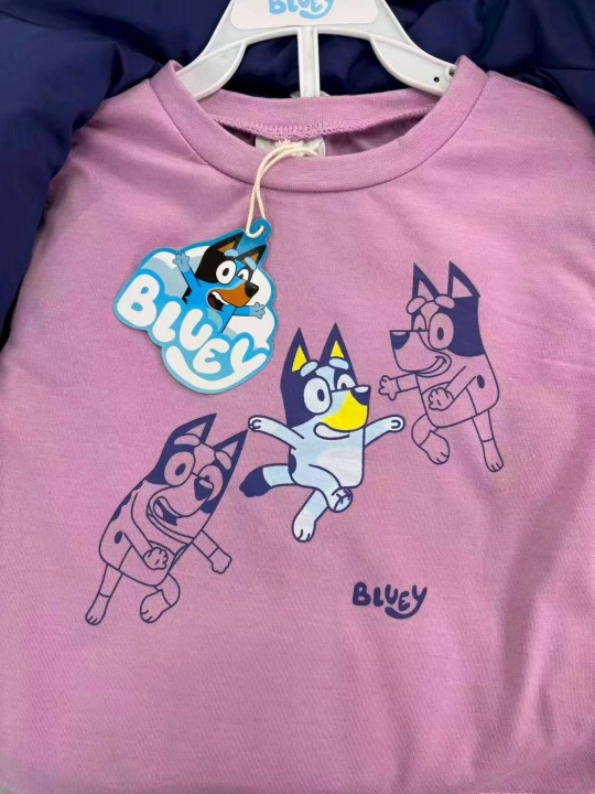 Детский комплект Bluey — жилет с капюшоном, кофта с длинным рукавом и брюки,2–4 года