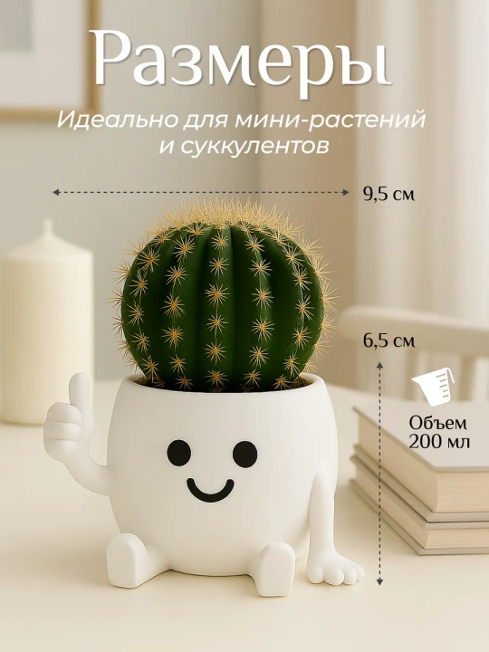 Kaktuslar va sukkulentlar uchun gul idishi