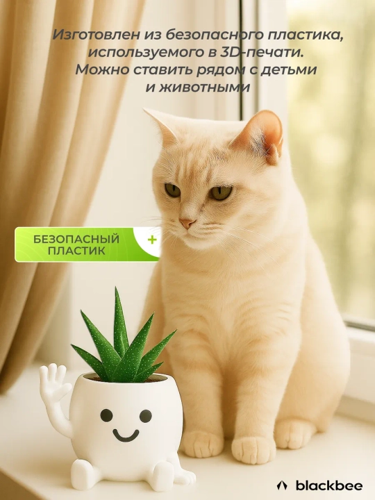 Kaktuslar va sukkulentlar uchun gul idishi