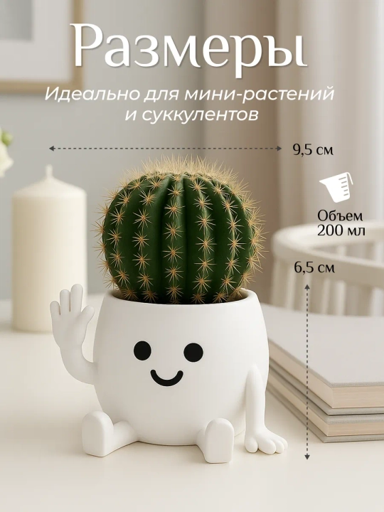 Kaktuslar va sukkulentlar uchun gul idishi