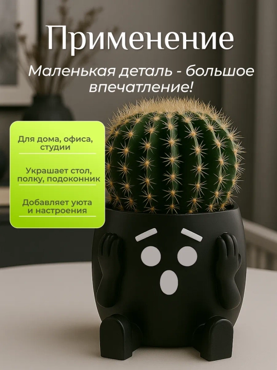 Горшок для цветов кактусов и суккулентов