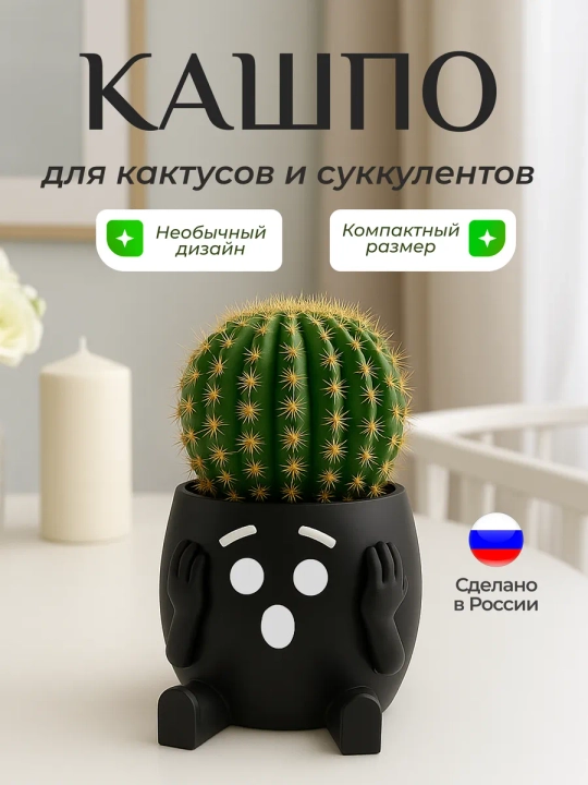 Горшок для цветов кактусов и суккулентов - 