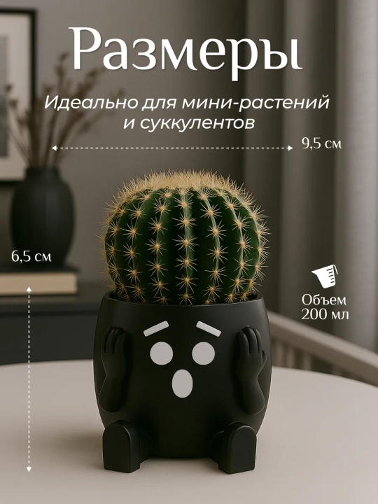 Горшок для цветов кактусов и суккулентов