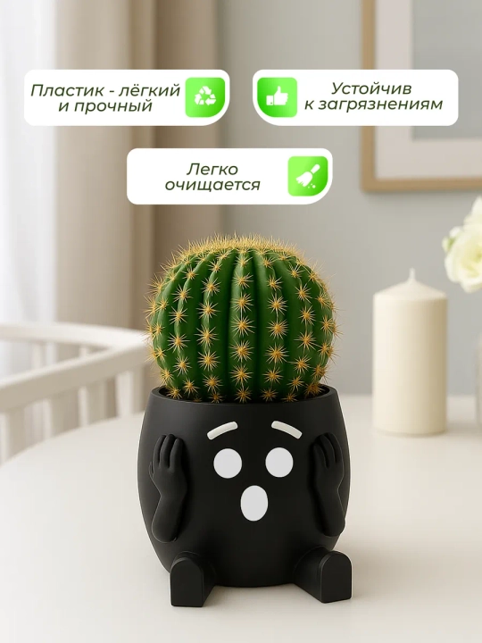 Горшок для цветов кактусов и суккулентов