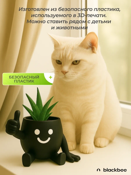 Kaktuslar va sukkulentlar uchun gul idishi