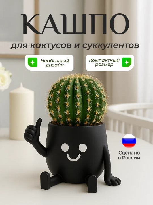 Kaktuslar va sukkulentlar uchun gul idishi