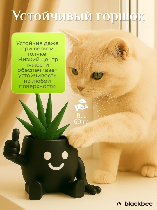 Kaktuslar va sukkulentlar uchun gul idishi